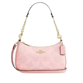 Coach Teri shoulder bag